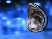 De nouvelles essences malicieuses